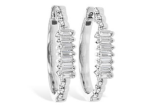 A300-41065: EARR .20 TW BAGUETTES