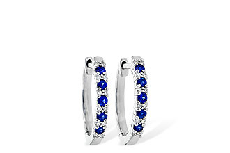 C217-67428: EARR .24 SAPP .30 TGW