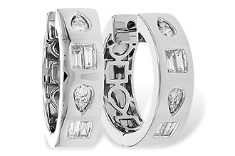 M301-33791: EARR .18 BAG .32 TW